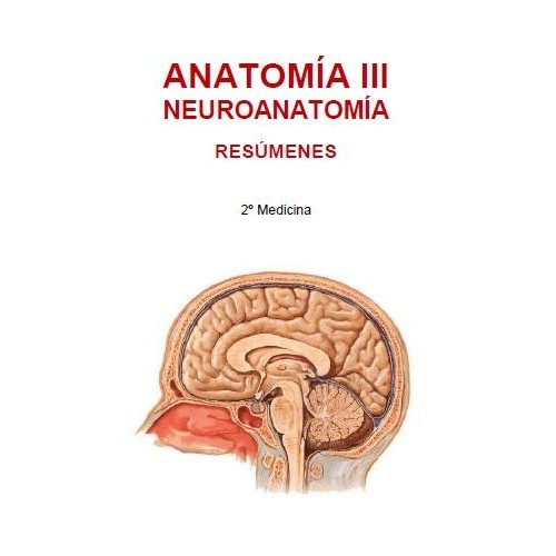 ANATOMÍA III - NEUROANATOMÍA - (104 PÁG)