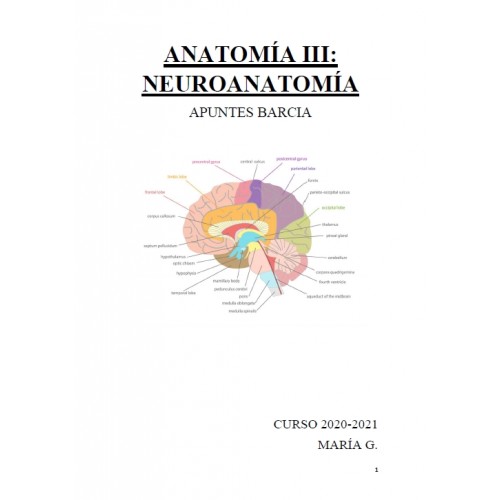 Anatomía III Neuroanatomía - (95 pág)...