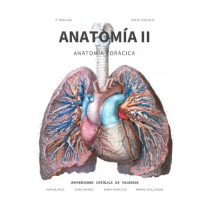 Anatomía Torácica II - (211...