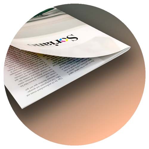 Revistas y catálogos