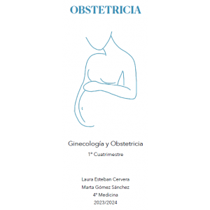 Obstetricia - (239 pág) -...