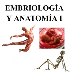 Embriología y anatomía -...
