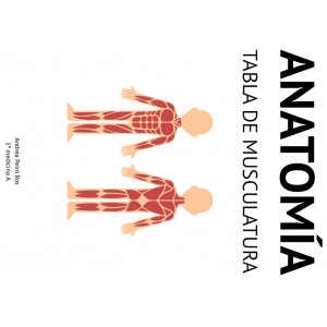 Tabla de musculatura - (98...