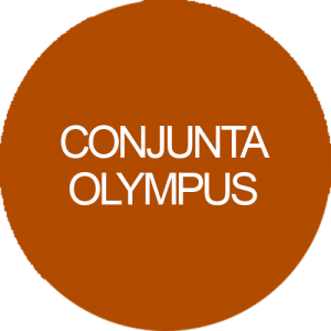 Conjunta Olympus