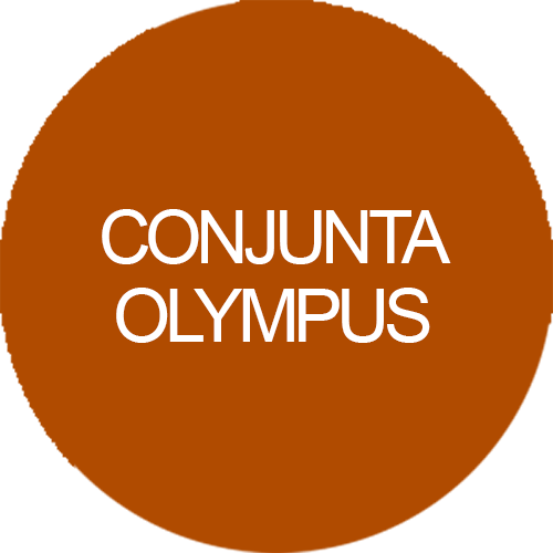 Conjunta Olympus