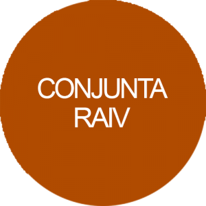 Conjunta RAIV