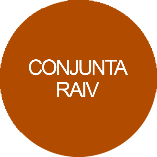 Conjunta RAIV