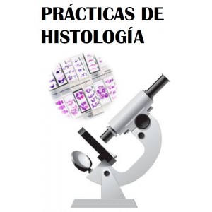 Prácticas histología - (316...
