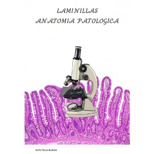 Laminillas Anatomía...