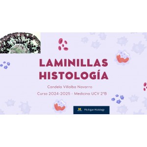Laminillas histología - (95...