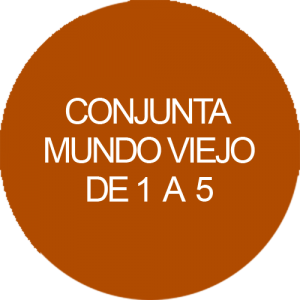 Conjunta mundo viejo de 1 a 5
