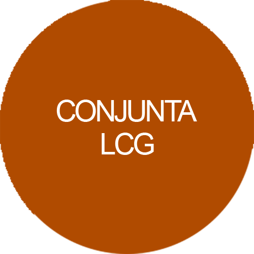 Conjunta LCG