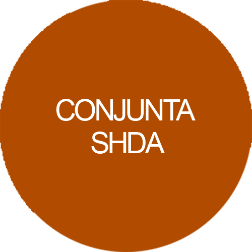 Conjunta SHDA