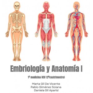 Anatomía 2º Cuatrimestre -...