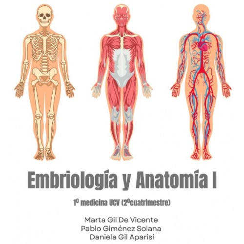 Anatomía 2º Cuatrimestre - (175 pág)...