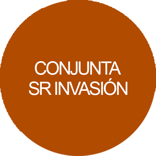 Conjunta SR Invasión