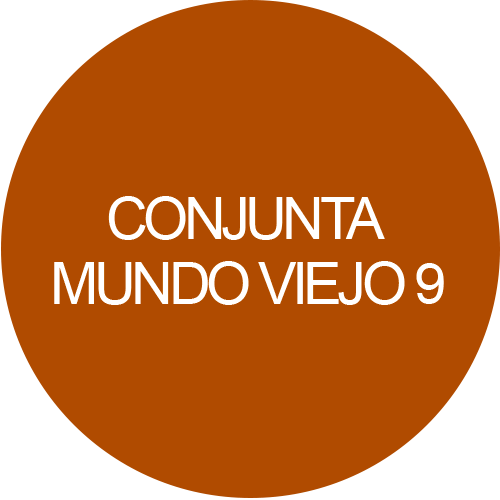 Conjunta mundo viejo 9