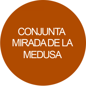 Conjunta mirada de la medusa