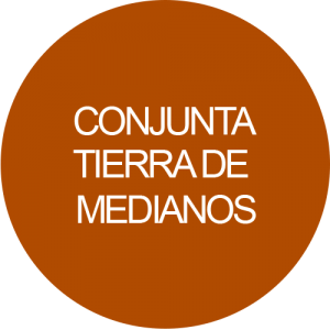 Conjunta Tierra de medianos