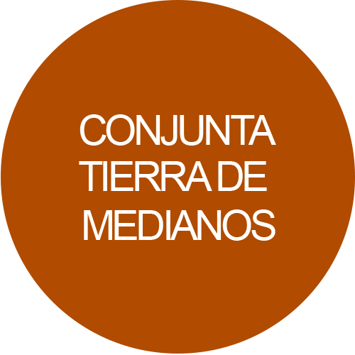 Conjunta Tierra de medianos